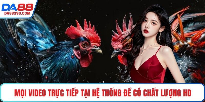 Mọi video trực tiếp tại hệ thống đề có chất lượng HD